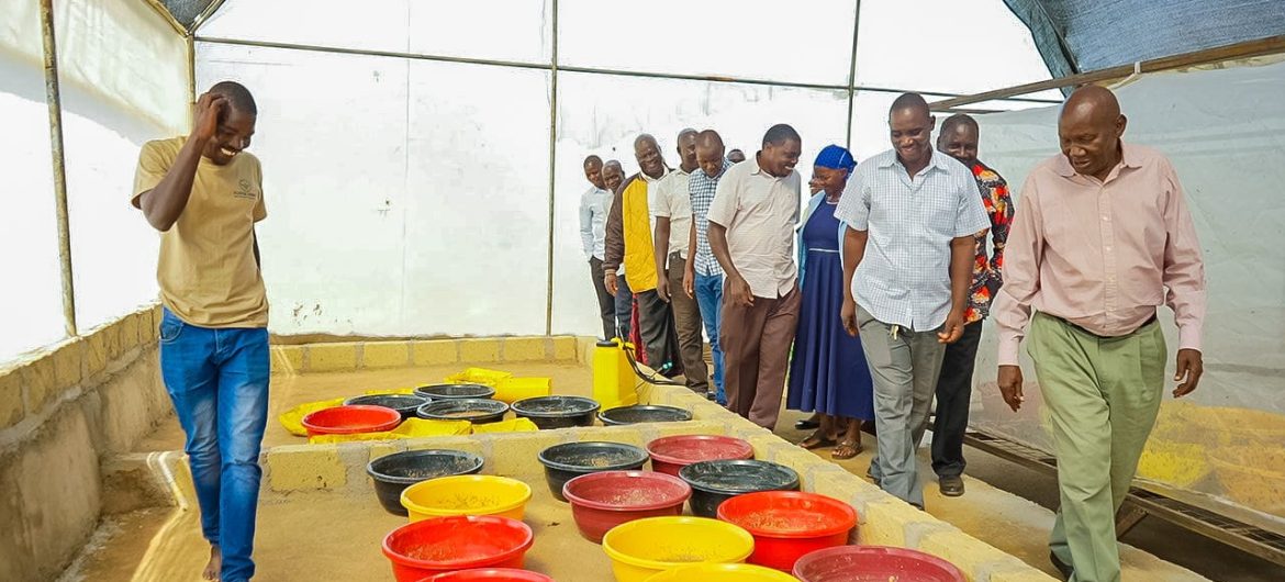 WhatsApp Image 2025-11-26 at 14.56.23 (5)